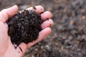 Research healthy soil 