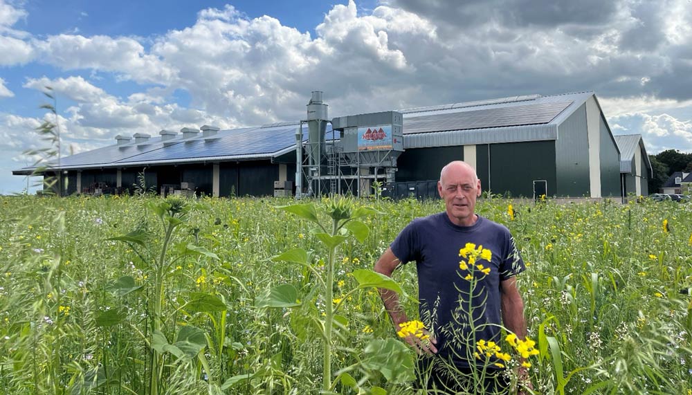 Kreuk-Bloembollenkwekerij_NLG-Holland_jubileum
